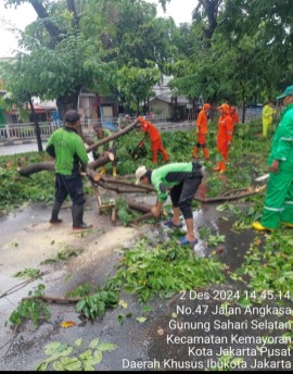 Hujan Disertai Angin Kencang, 44 Pohon Terdampak di Jakarta Pusat